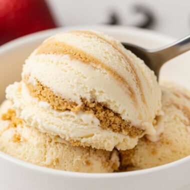 The Cheesecake Ice Cream