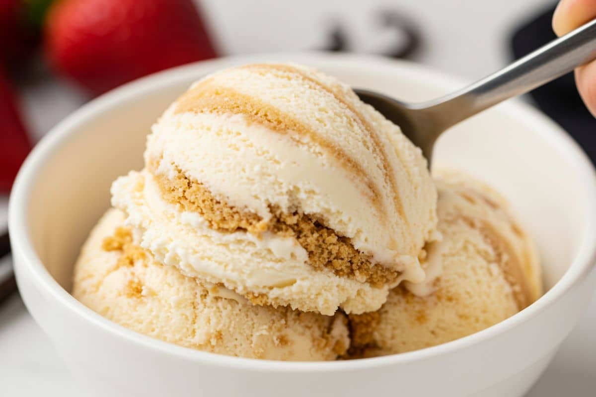 The Cheesecake Ice Cream